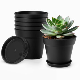 FHWTY 4 inch pot with drainage holes and saucer for better drainage.