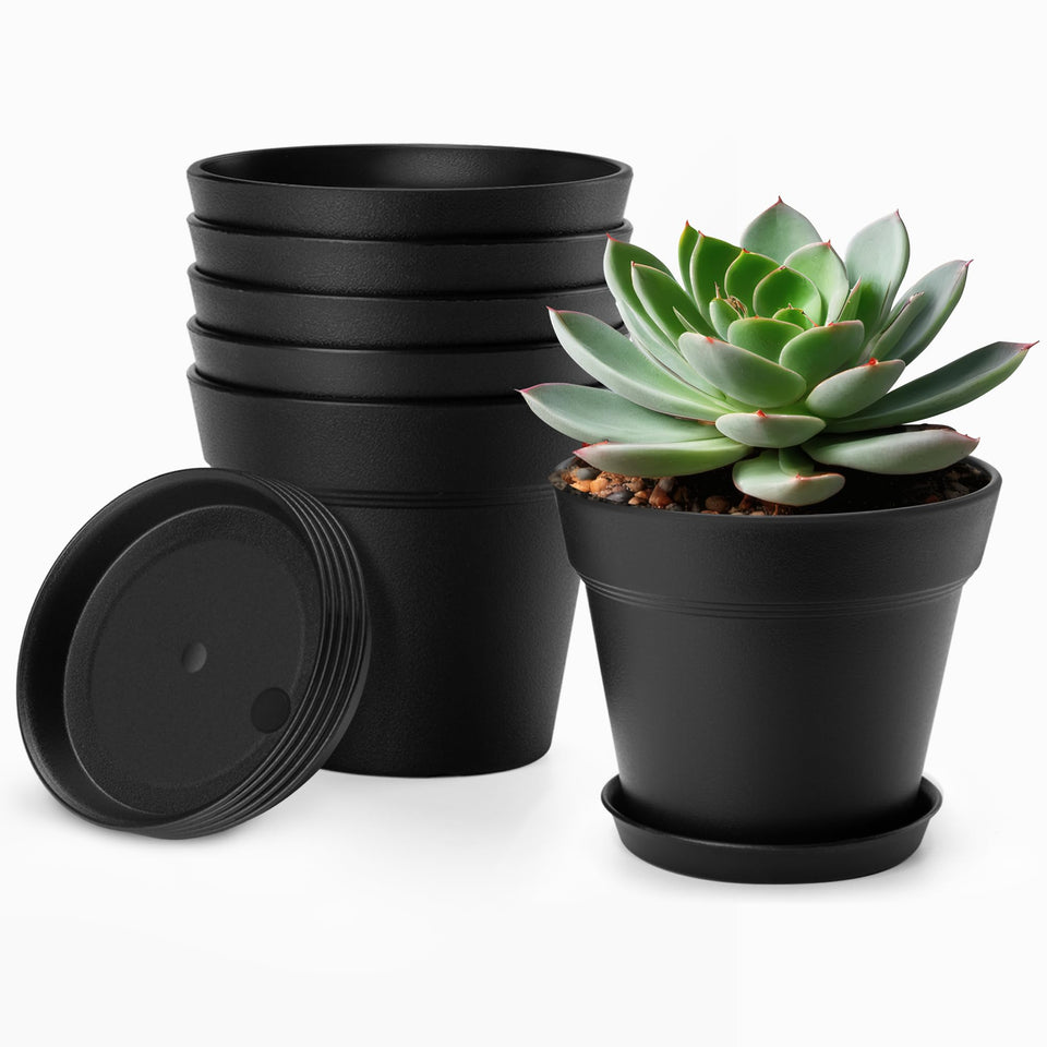 FHWTY 4 inch pot with drainage holes and saucer for better drainage.
