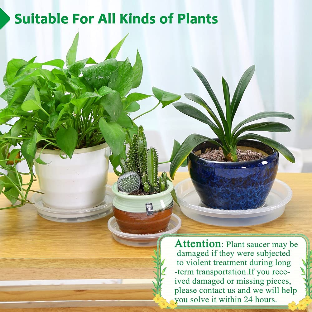 FHWTY 8-pack 5-inch clear plant saucer, outdoor use, resists weather.