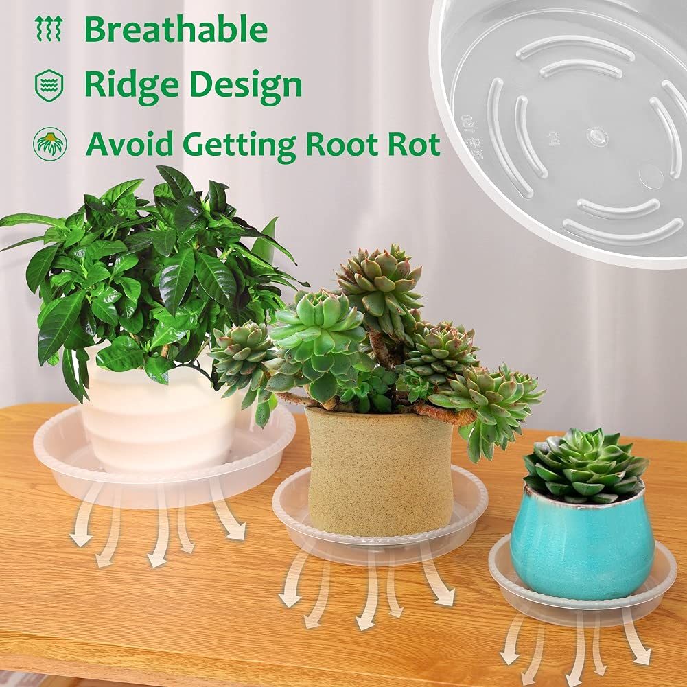 FHWTY 8-pack 5-inch clear plant saucer, ridge close-up, guides drainage.