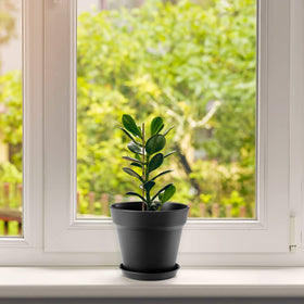 FHWTY African violet friendly pot for compact indoor plants.