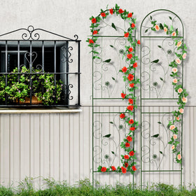 FHWTY climbing plant support for ivy, clematis, roses, or tomatoes.