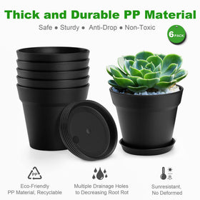 FHWTY six pack plant pots suitable for succulents and herbs.