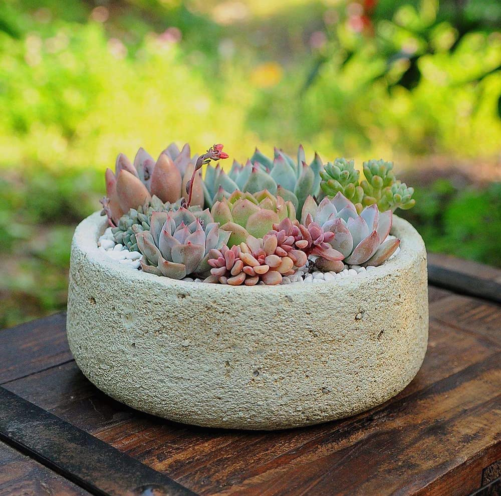 Ficoszo 500pcs mix provides diverse varieties for DIY projects