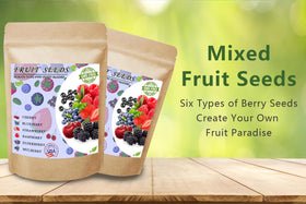 Ficoszo blueberry seeds, individually packaged, simplifying germination and transplanting.