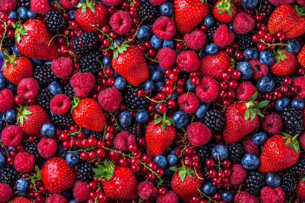 Ficoszo blueberry seeds for easy container or garden plantings and pollinator-friendly beds