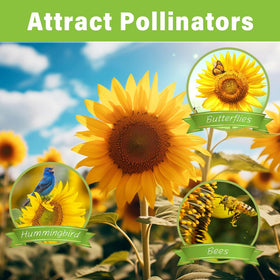Ficoszo bulk seed mix supports pollinators throughout the growing season.
