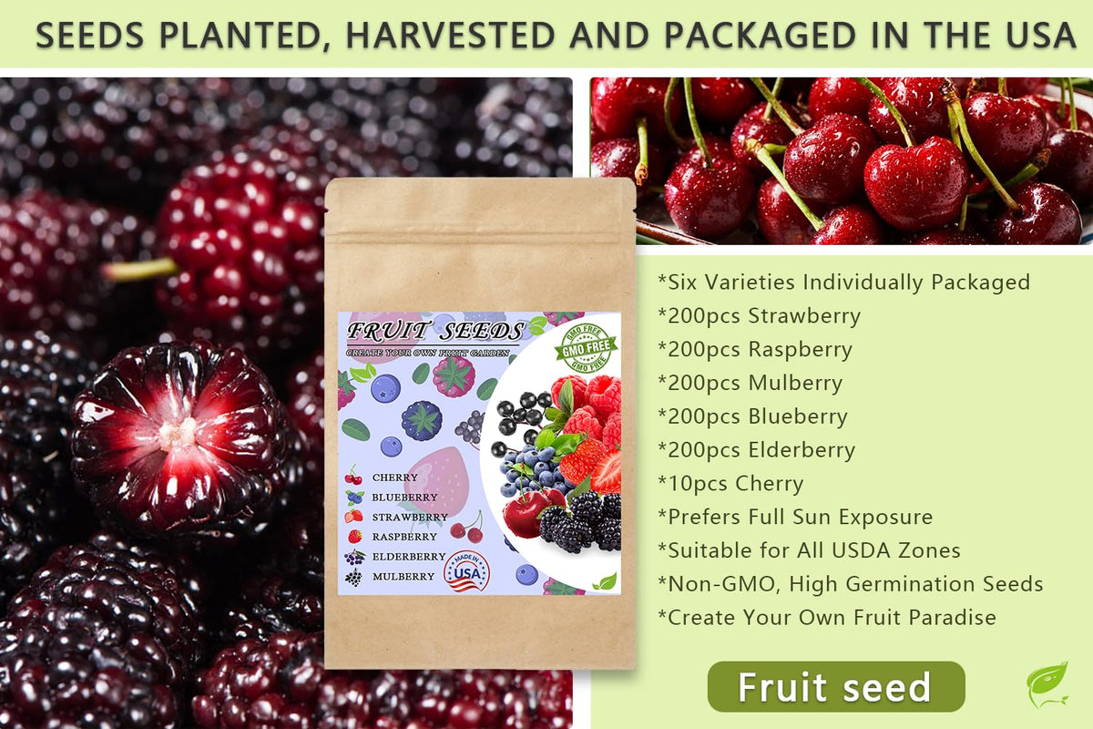 Ficoszo elderberry seeds, individually packaged, great for a complete home berry collection.
