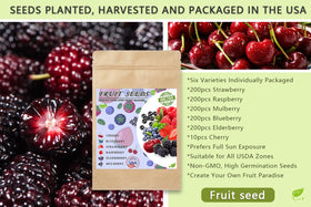 Ficoszo elderberry seeds, individually packaged, great for a complete home berry collection.
