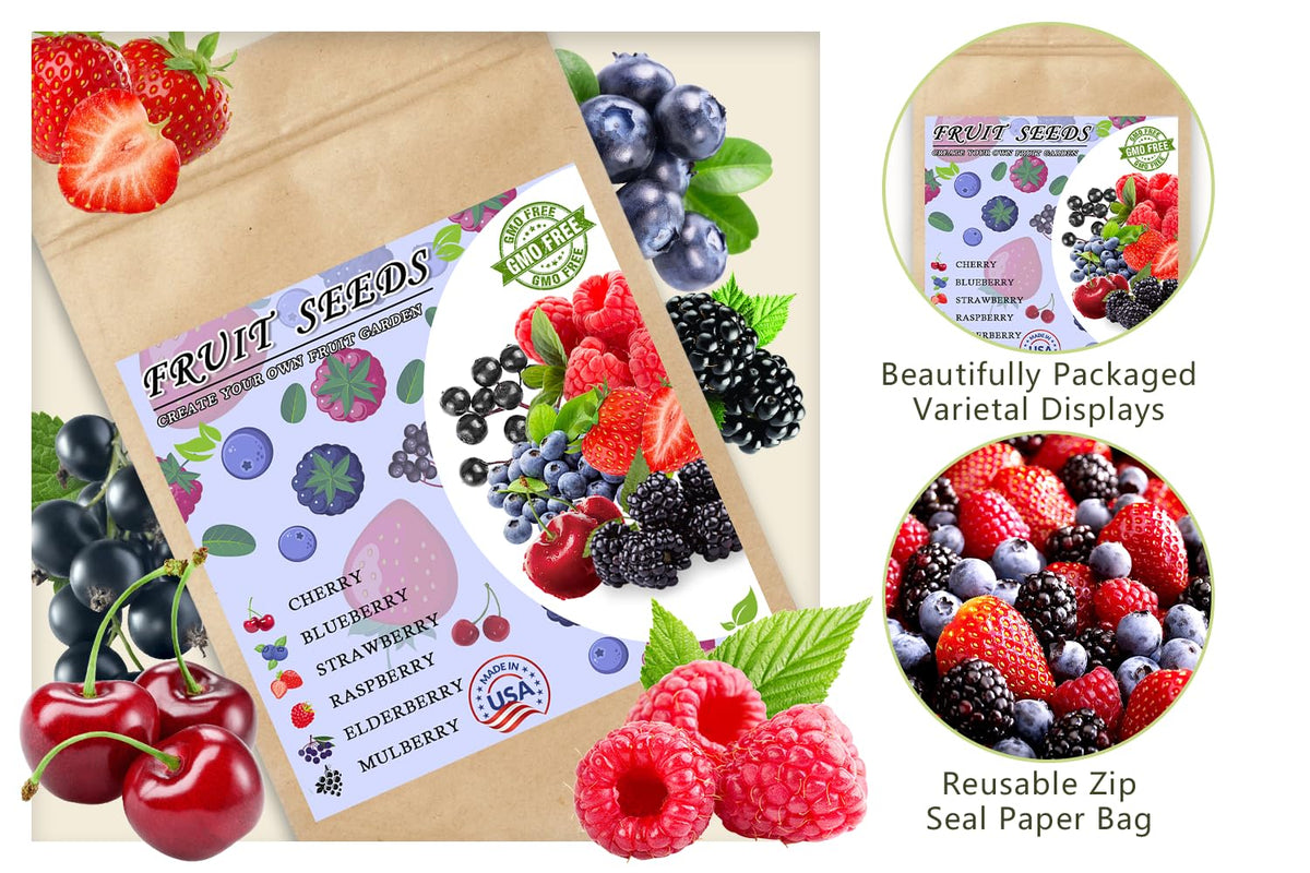 Ficoszo mulberry seeds, individually packaged, versatile for greenhouse or outdoor use.