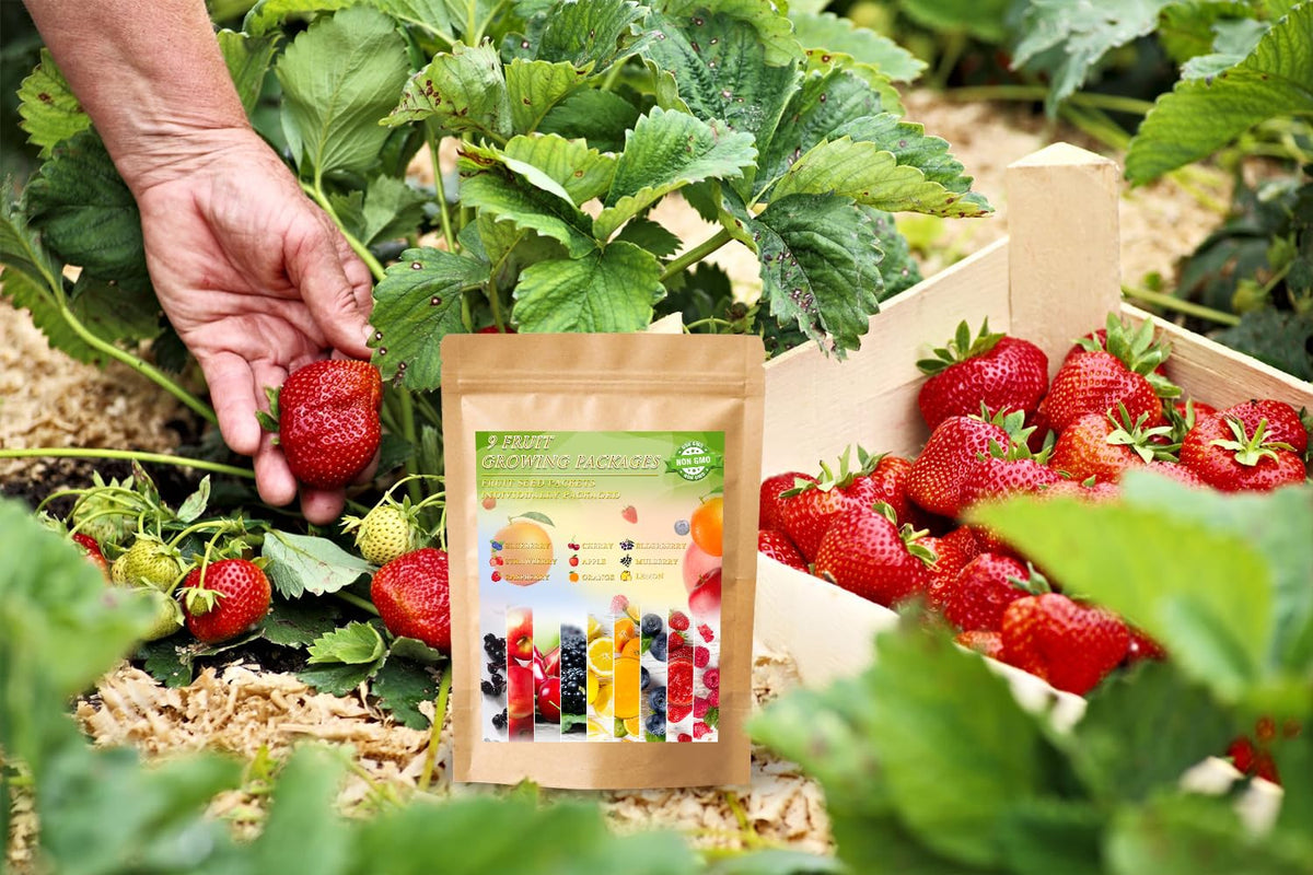Ficoszo raspberry seeds for productive berry beds and fresh fruit