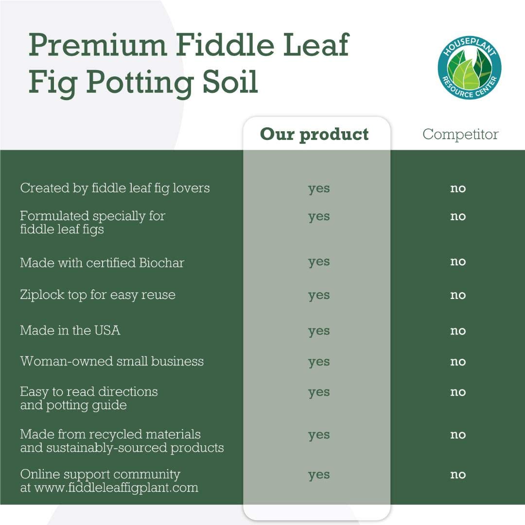Fiddle Leaf Fig Soil close-up reveals quick drainage and air space.