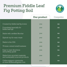 Fiddle Leaf Fig Soil close-up reveals quick drainage and air space.
