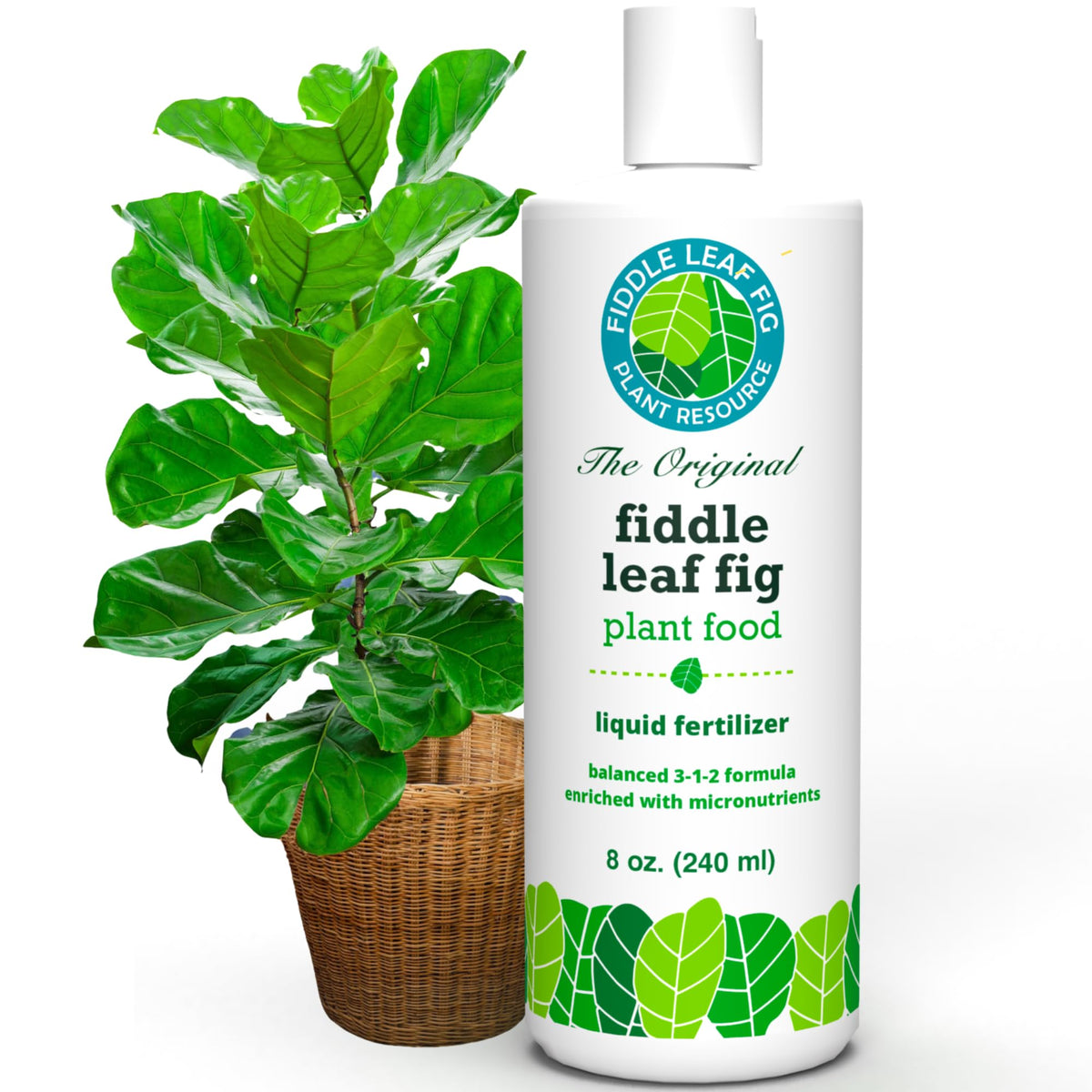 Fiddle Leaf Fig Plant Food bottle closeup showing balanced formula for lush growth.