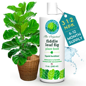 Fiddle Leaf Fig Plant Food label design featuring 3-1-2 ratio.