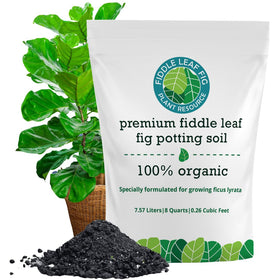 Fiddle Leaf Fig Soil bag view highlighting airy mix for healthier roots.