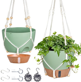 Fielda 10-inch planter with water window for quick moisture checks.