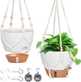 Fielda 10inch Hanging Planter with water window helps monitor moisture at a glance.