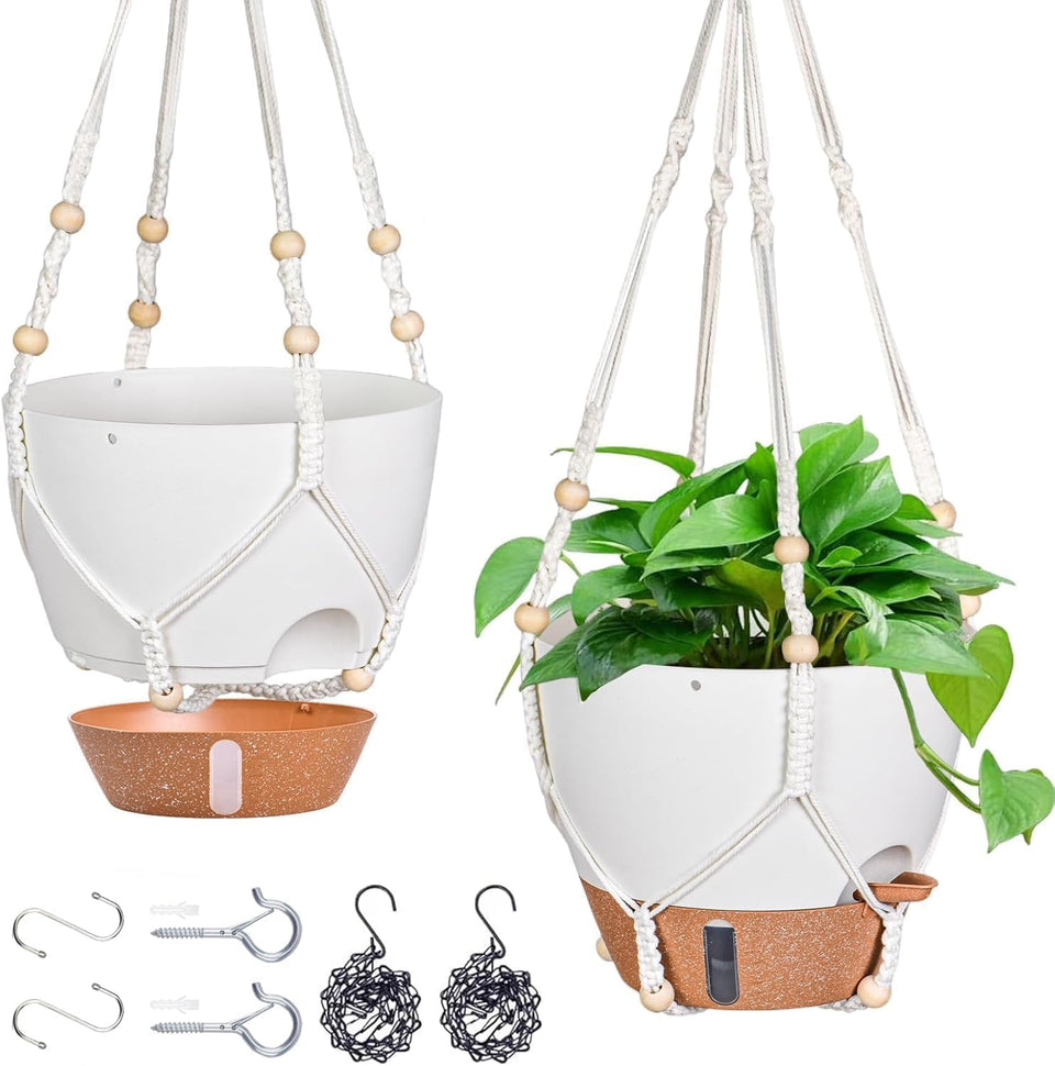 Fielda 10inch Hanging Planter with water window helps monitor moisture at a glance.