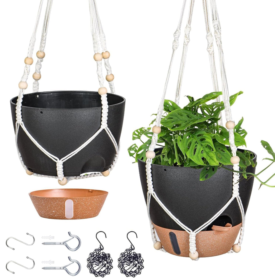 Fielda 10-inch hanging planter with water window for quick moisture checks.