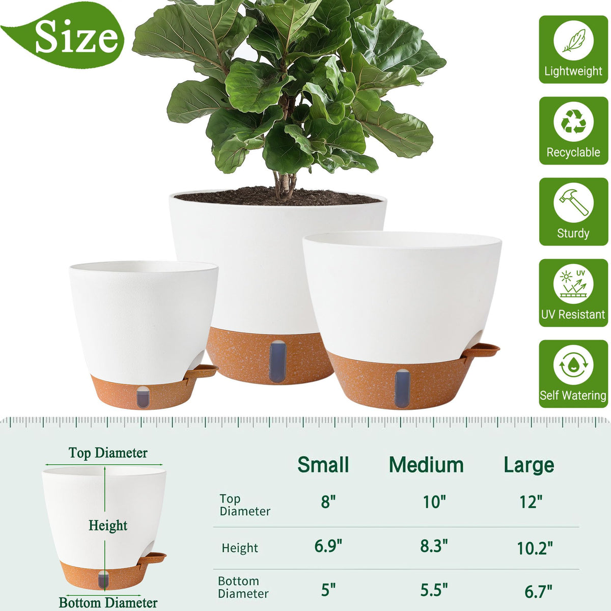 Fielda 12-inch self-watering pot with clear hydration window