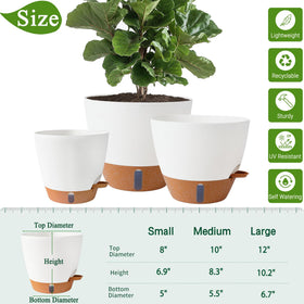 Fielda 12-inch self-watering pot with clear hydration window
