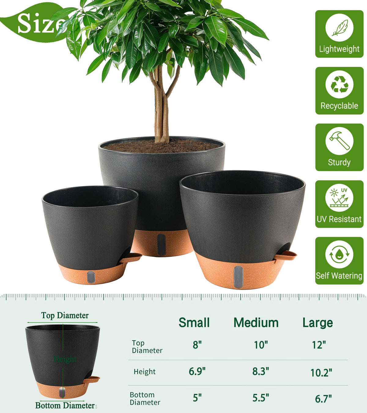 Fielda 12-inch self-watering pot supports large indoor plants with reliable hydration.