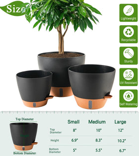 Fielda 12-inch self-watering pot supports large indoor plants with reliable hydration.