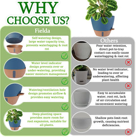 Fielda 12-inch top diameter planter fits large plants like fiddle leaf fig