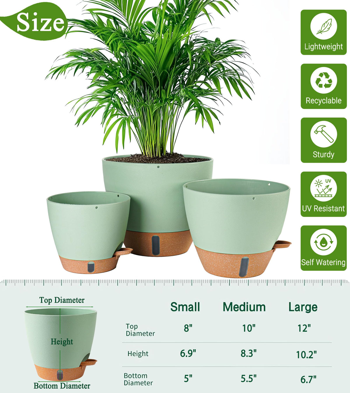 Fielda 12-inch pot with detachable saucer tray for clean, versatile setup