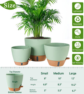 Fielda 12-inch pot with detachable saucer tray for clean, versatile setup