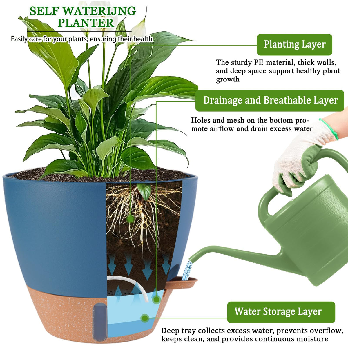 Fielda detachable tray design for easier cleaning and watering control