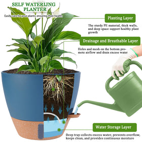 Fielda detachable tray design for easier cleaning and watering control