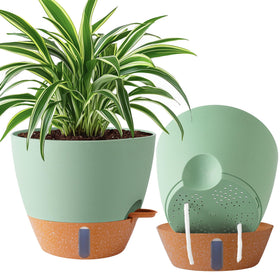 Fielda 2-Pack 10-Inch Self-Watering Planter with clear reservoir for easy moisture management