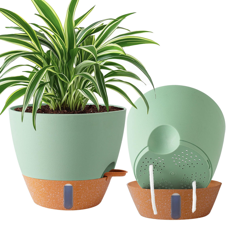 Fielda 2-Pack 10-Inch Self-Watering Planter with clear reservoir for easy moisture management