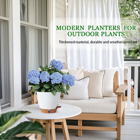 Fielda 2-pack 8-inch pots offers versatile growing options.