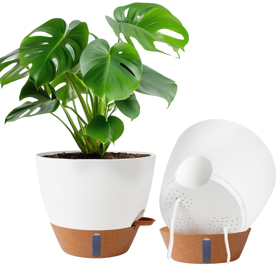 Fielda 2-pack 10in self-watering pot with water level window for easy moisture checks.