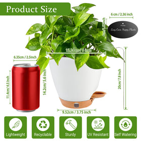 Fielda 5-pack white planters ideal for beginners and plant lovers.
