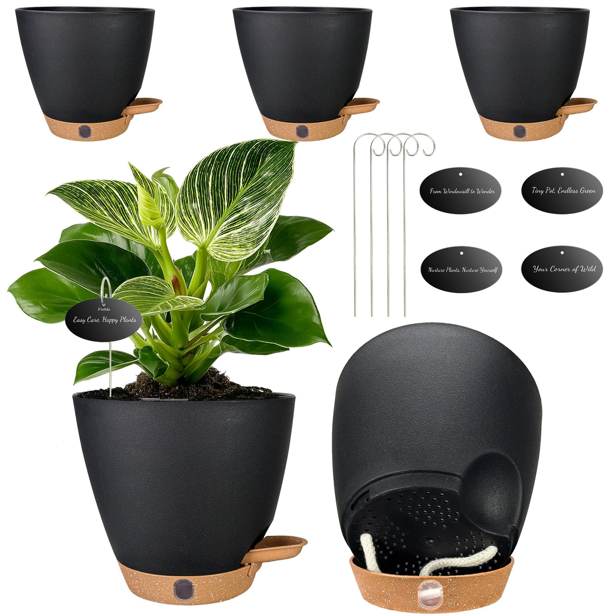 Fielda 6-inch self-watering pot with water level window for easy monitoring