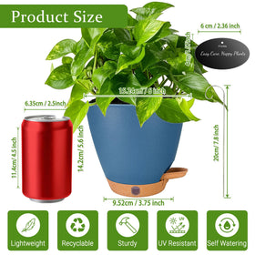 Fielda 6-inch pot with detachable saucer tray makes cleaning effortless.