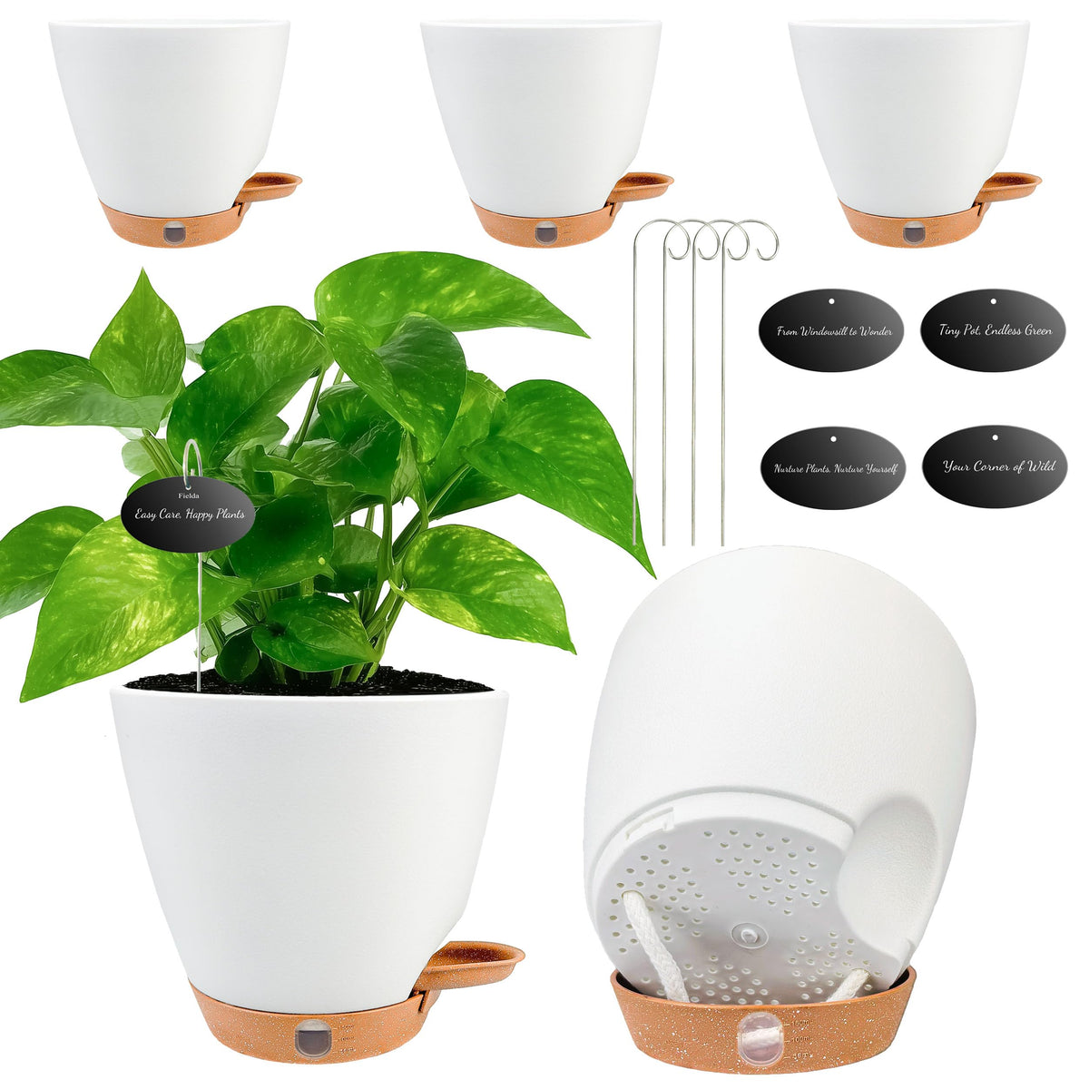 Fielda 6-inch self-watering pot shows water level for easy hydration monitoring.