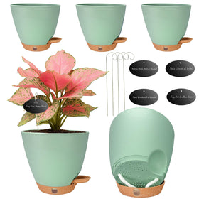 Fielda 6-inch self-watering pot with window view helps monitor moisture at a glance.
