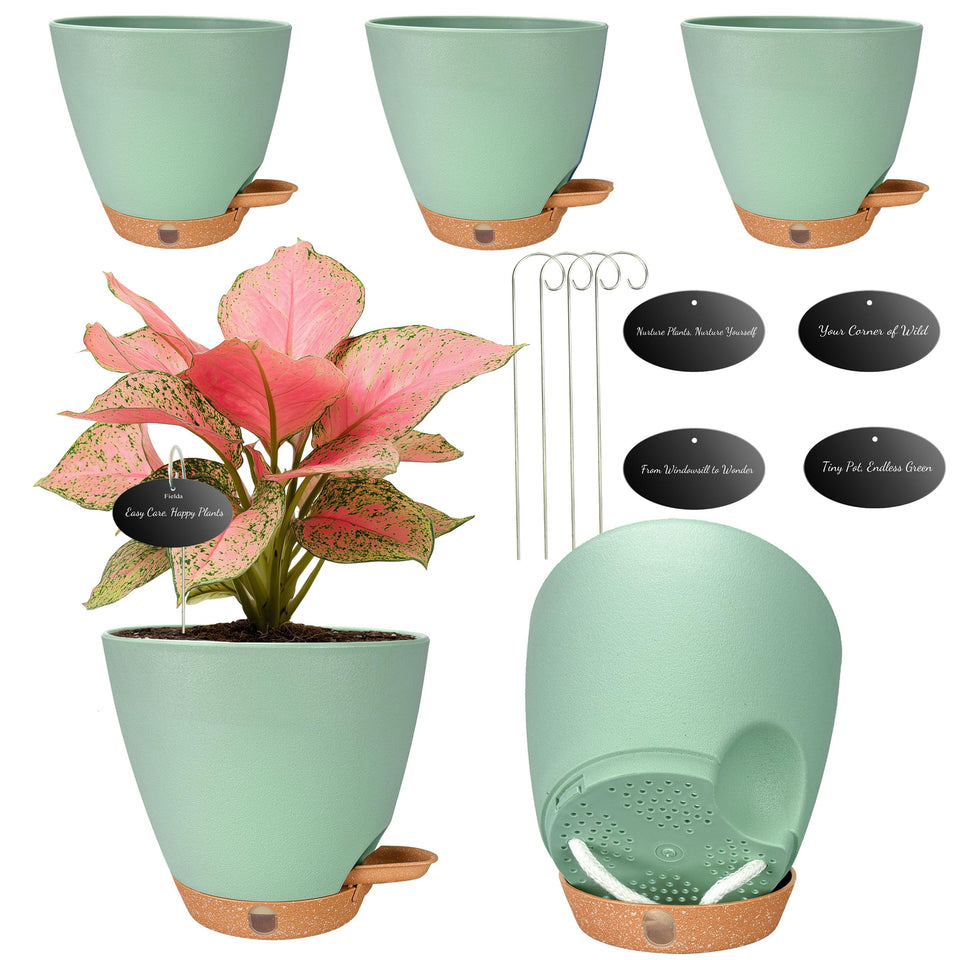 Fielda 6-inch self-watering pot with window view helps monitor moisture at a glance.