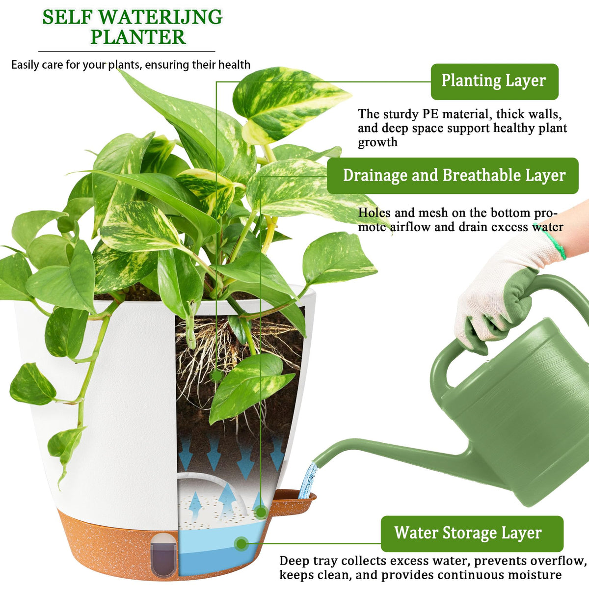 Fielda 8-inch planter thrives indoors and on balconies in sun or shade.