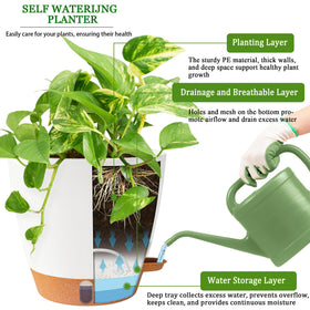 Fielda 8-inch planter thrives indoors and on balconies in sun or shade.