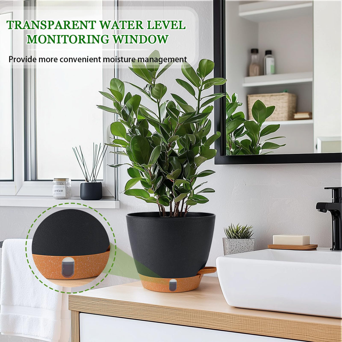 Fielda detachable tray and saucer simplify cleaning and water management.