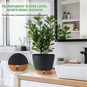 Fielda detachable tray and saucer simplify cleaning and water management.
