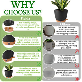 Fielda durable plastic 8-inch pot, UV resistant for indoor and outdoor use.