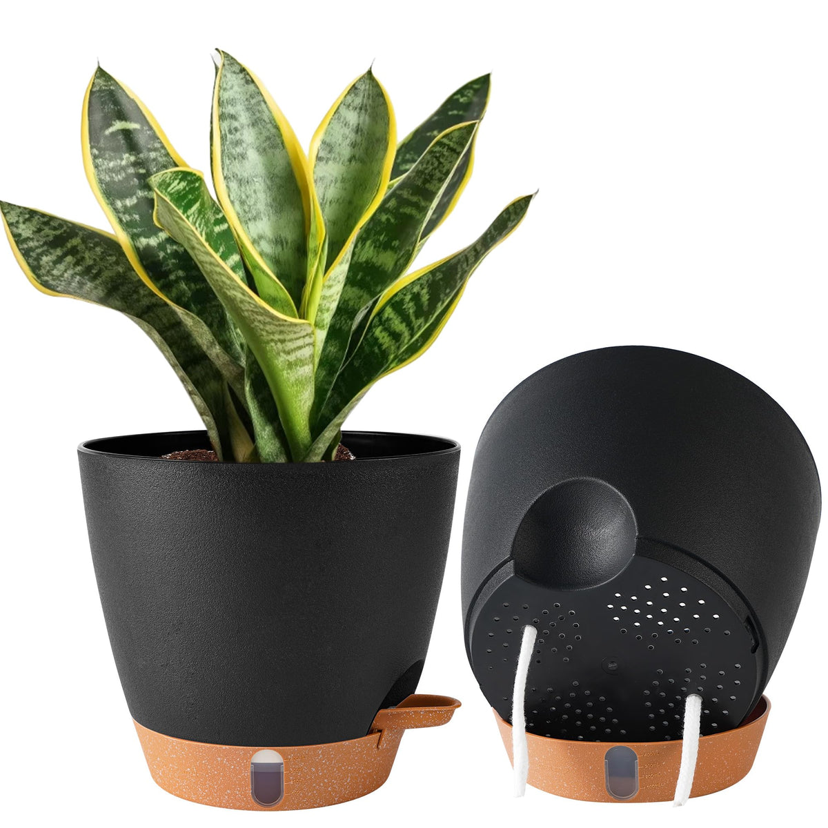 Fielda 8-inch self-watering pot with clear reservoir for easy moisture checks.