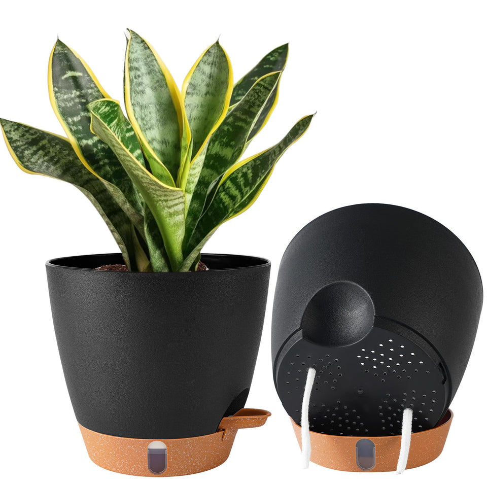Fielda 8-inch self-watering pot with clear reservoir for easy moisture checks.